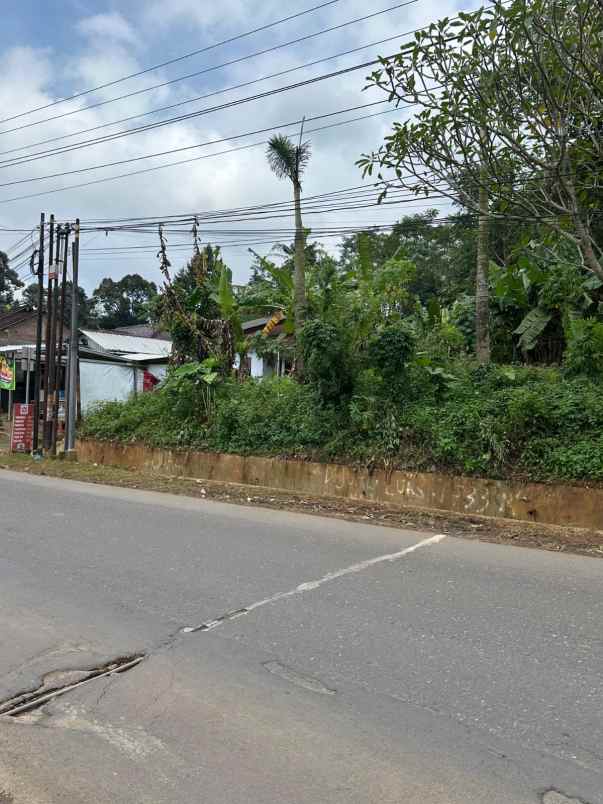 dijual tanah jl raya kaligetas