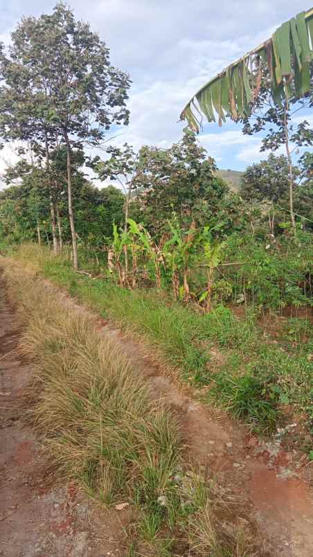 dijual tanah jl raya lingkar nagreg