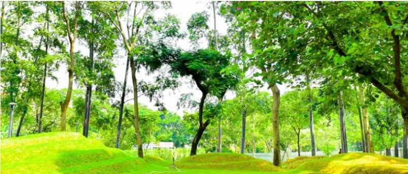 dijual tanah jl tebet timur raya