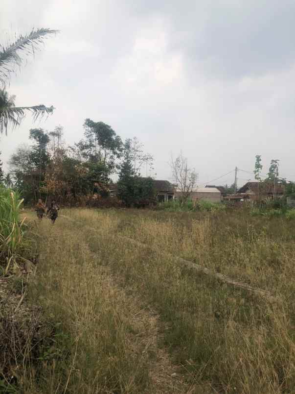 dijual tanah jl terusan ryacudu