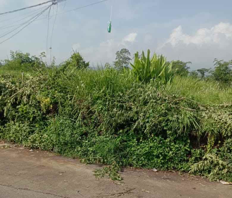 dijual tanah junrejo