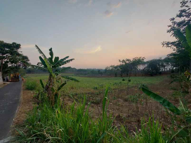 dijual tanah karangpandan dekat wisata