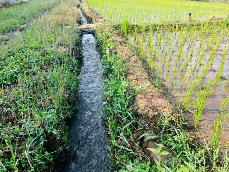 dijual tanah karangpandan karanganyar