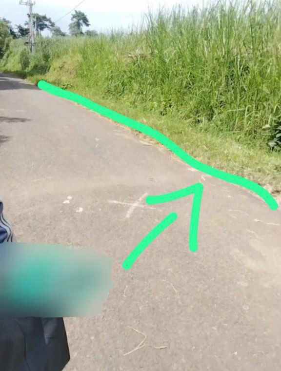 dijual tanah karangploso malang