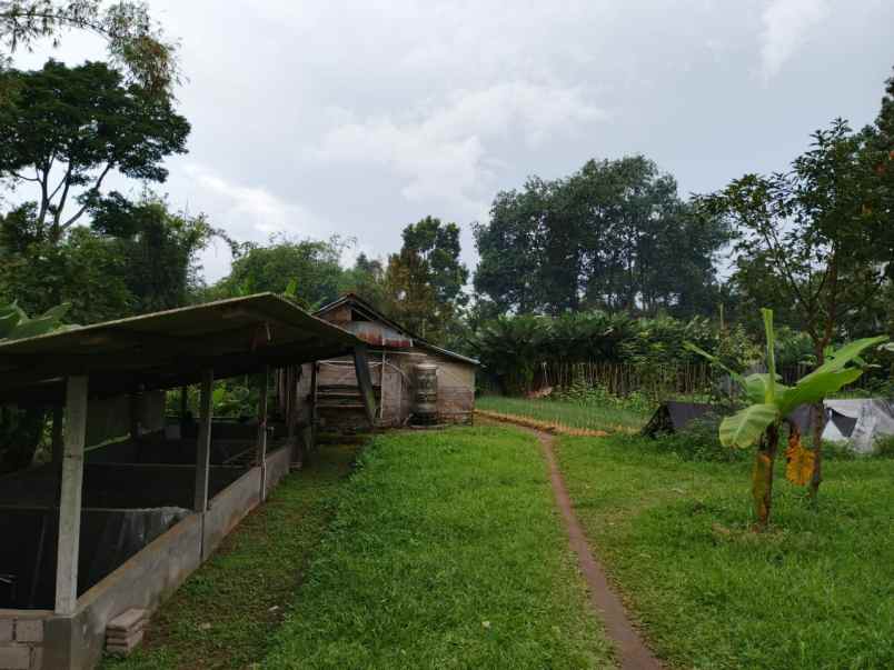 dijual tanah kebun 7880 m2 di baturiti tabanan bali