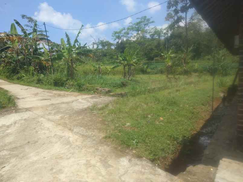 dijual tanah kebun akses jalan mobil