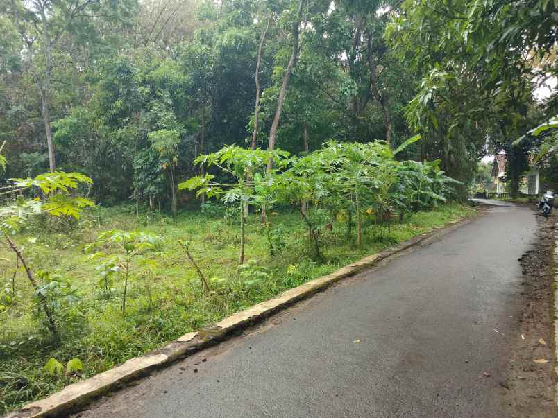 dijual tanah kebun akses jl mobil lingkungan penduduk