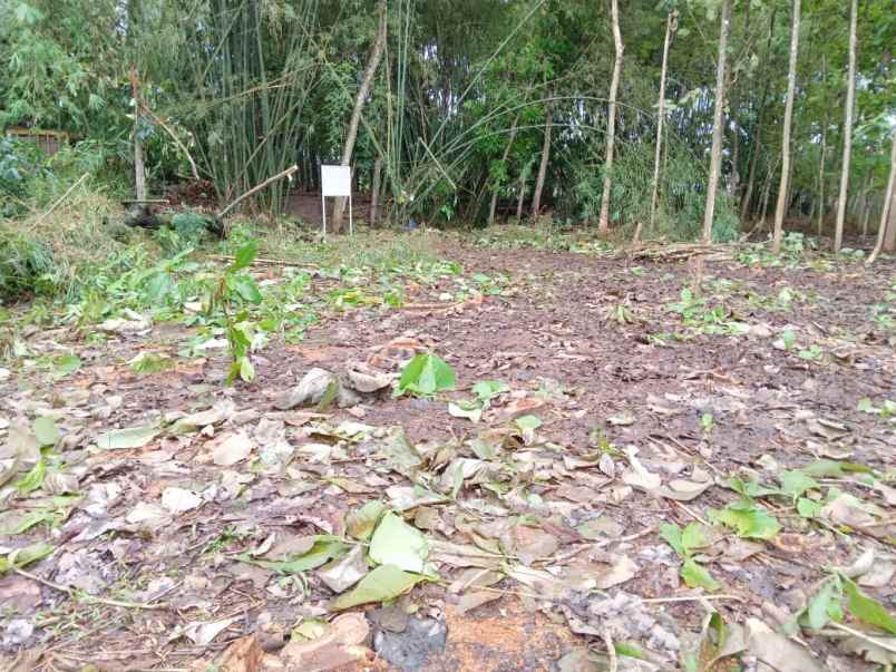 dijual tanah kebun di rawalo jl panembahan