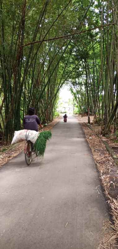 dijual tanah kebun di rawalo jl panembahan