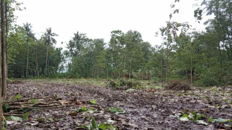 dijual tanah kebun di rawalo jl panembahan