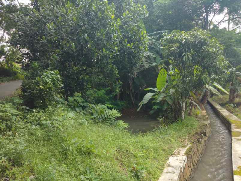 dijual tanah kebun pinggir jalan desa