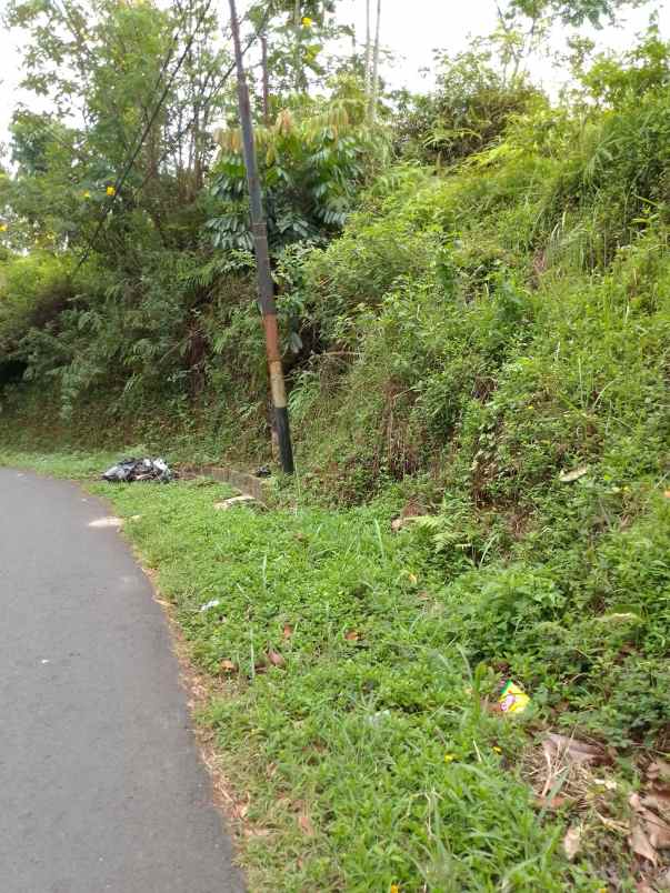 dijual tanah kebun produktif pinggir jalan