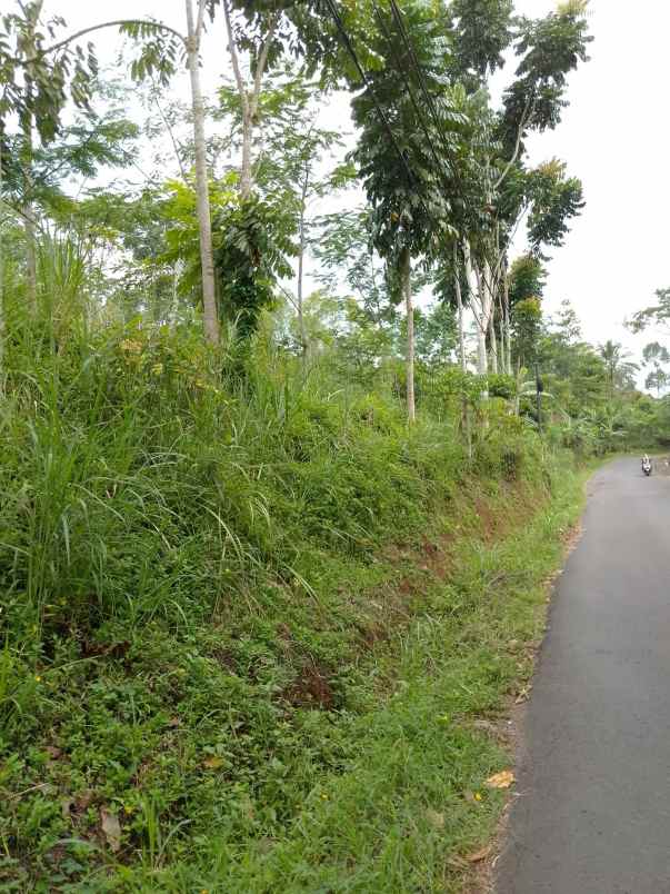 dijual tanah kebun produktif pinggir jalan