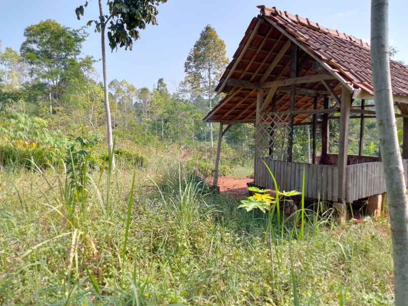 dijual tanah kebun produktif pinggir jalan