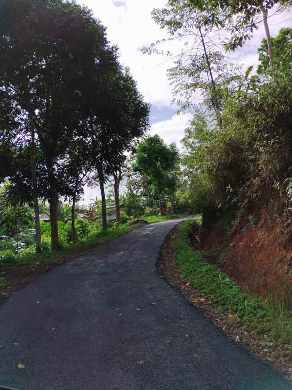 dijual tanah kebun produktif pinggir jalan