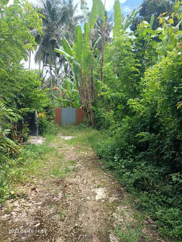 dijual tanah kerambitan tabanan bali