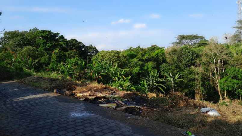 dijual tanah komersil los sungai lokasi nyanyi tabanan