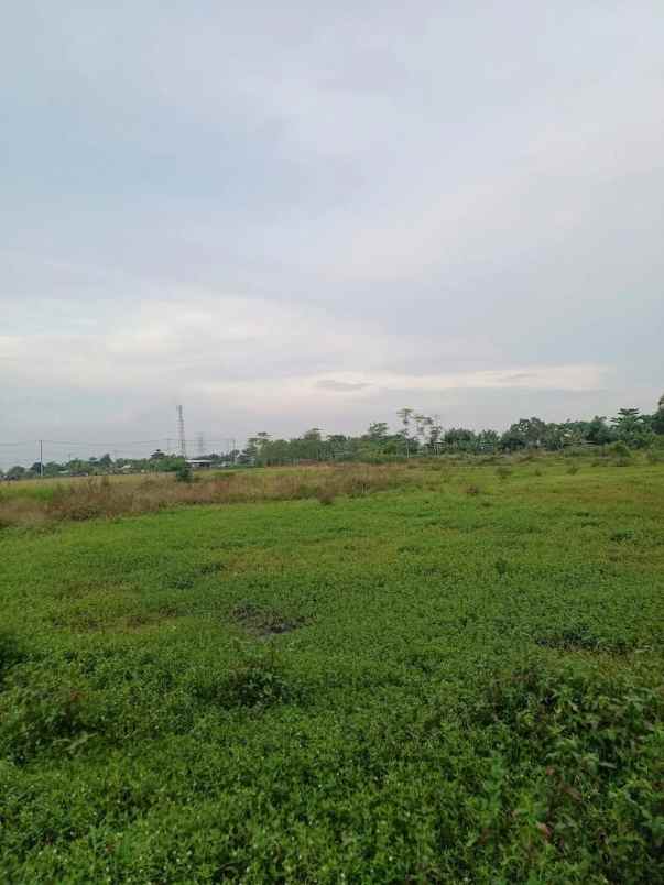 dijual tanah kp jati ilir 1 tunggakjati