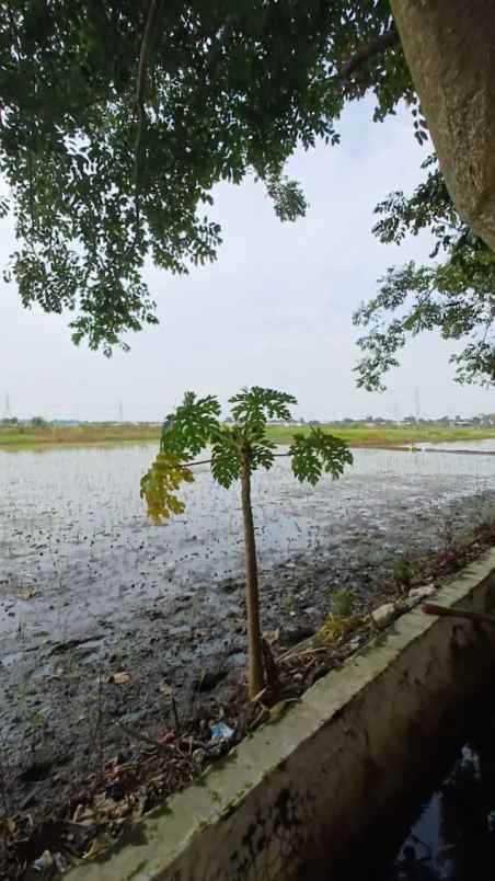 dijual tanah kp jati ilir 1 tunggakjati