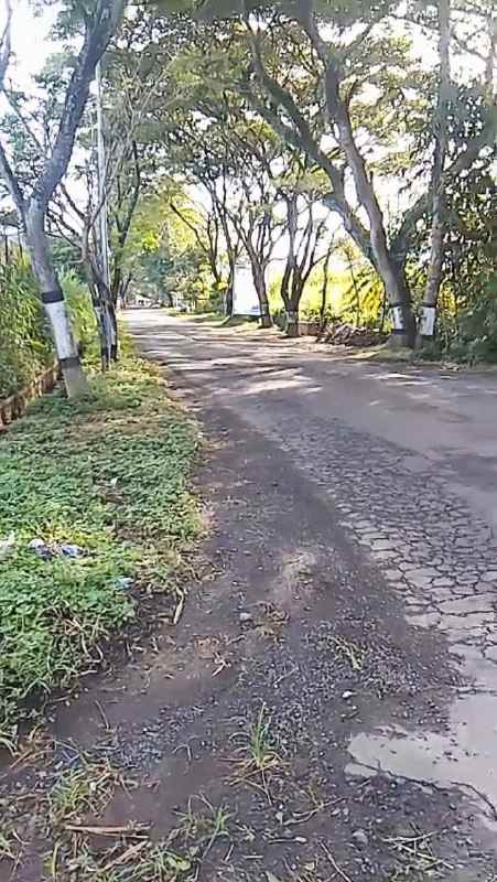 dijual tanah lahan pakis ledok pakis malang 96 milyar