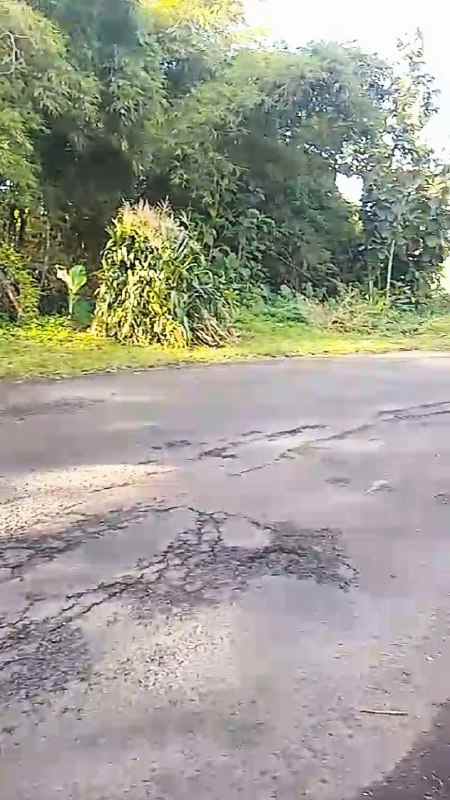 dijual tanah lahan pakis ledok pakis malang 96 milyar