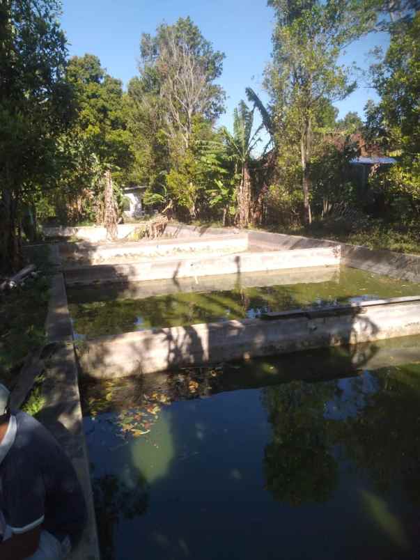 dijual tanah linggar jati kec cilimus