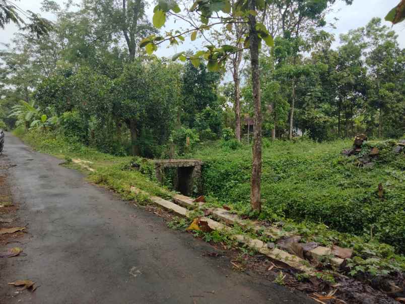 dijual tanah lingkungan pemukiman rumah penduduk