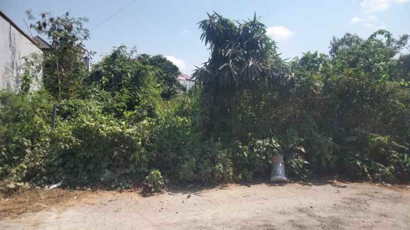 dijual tanah mahendradata