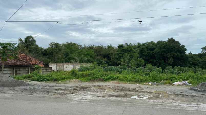 dijual tanah maja banten