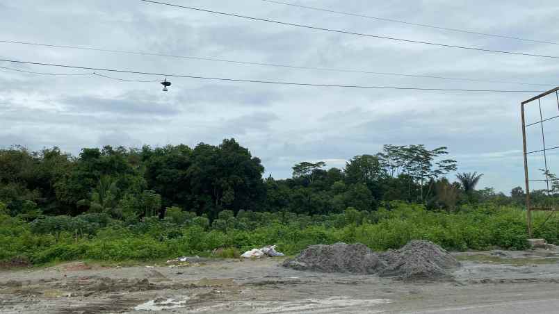 dijual tanah maja banten