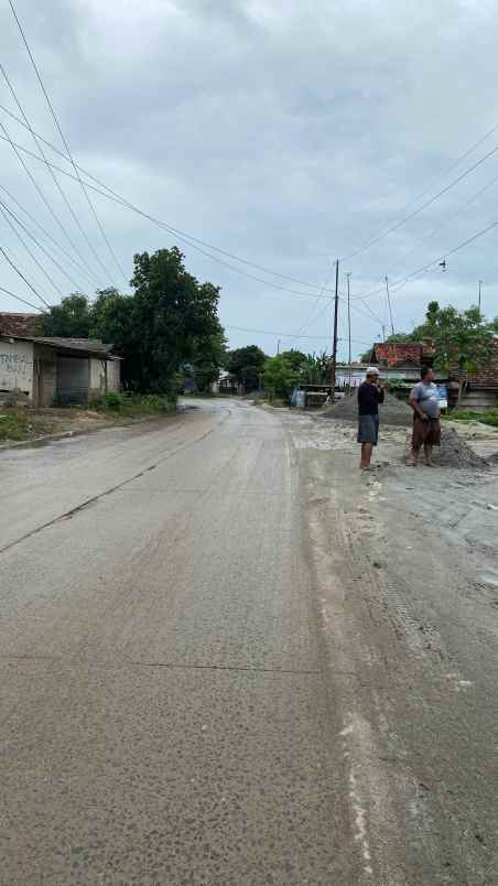 dijual tanah maja banten