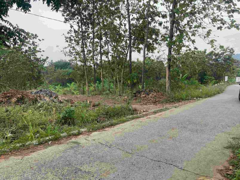 dijual tanah meteseh