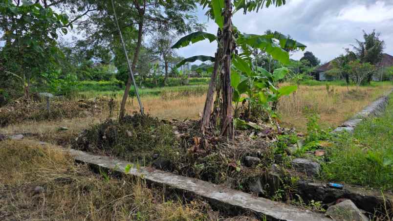 dijual tanah murah kaliurang untoro