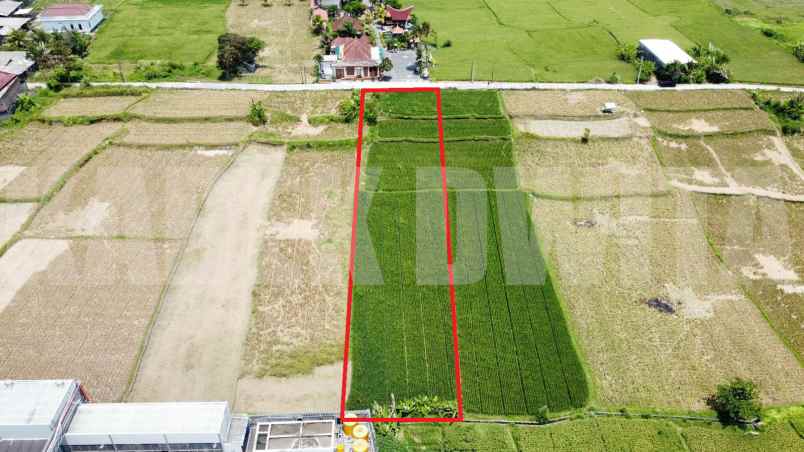 dijual tanah murah view sawah dan laut pantai keramas