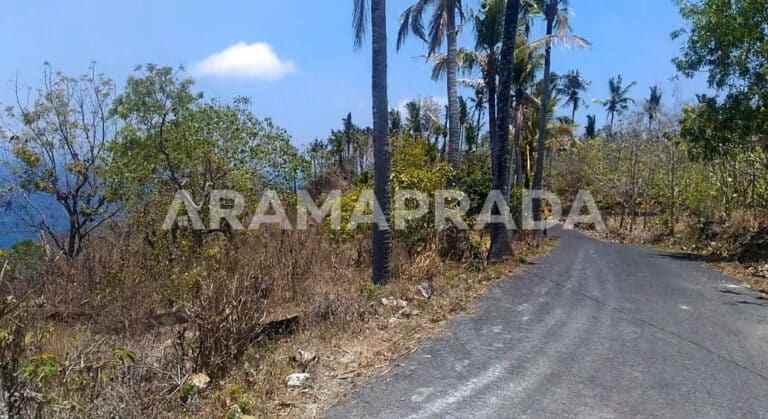 dijual tanah nusa penida