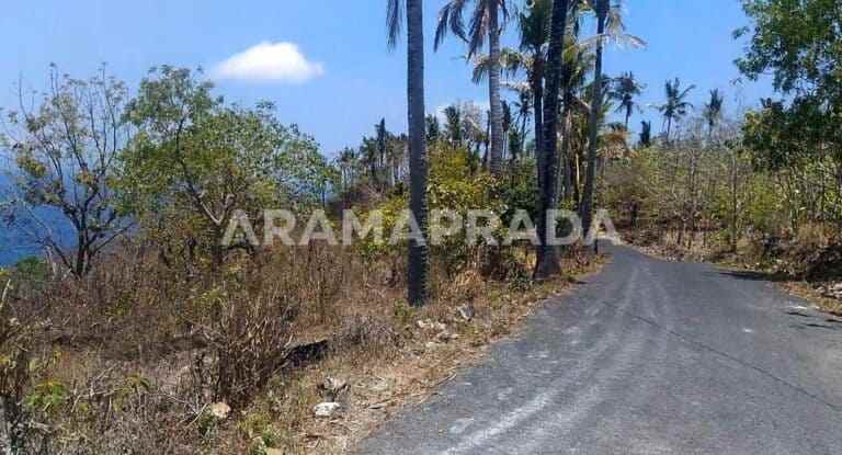 dijual tanah nusa penida