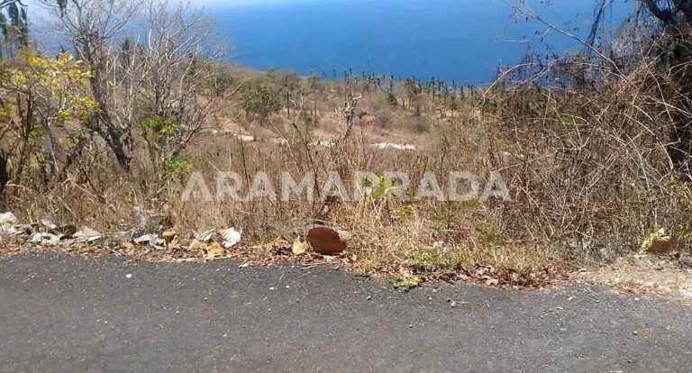 dijual tanah nusa penida