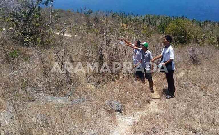 dijual tanah nusa penida