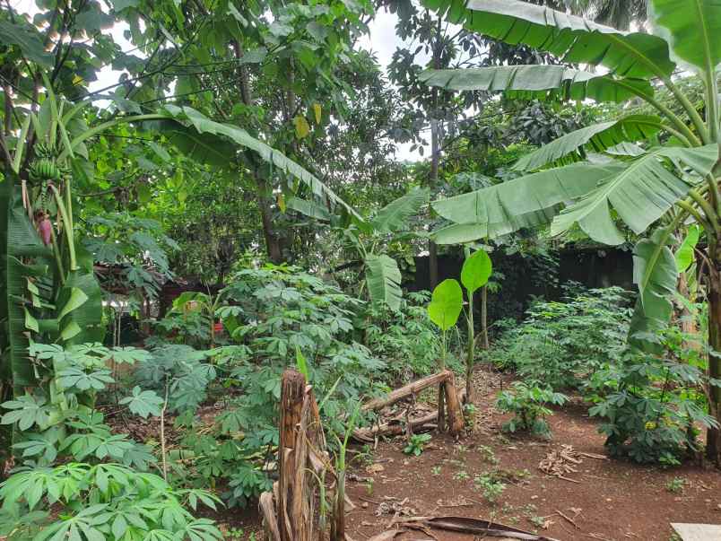 dijual tanah pancoran mas bekasi jawa barat