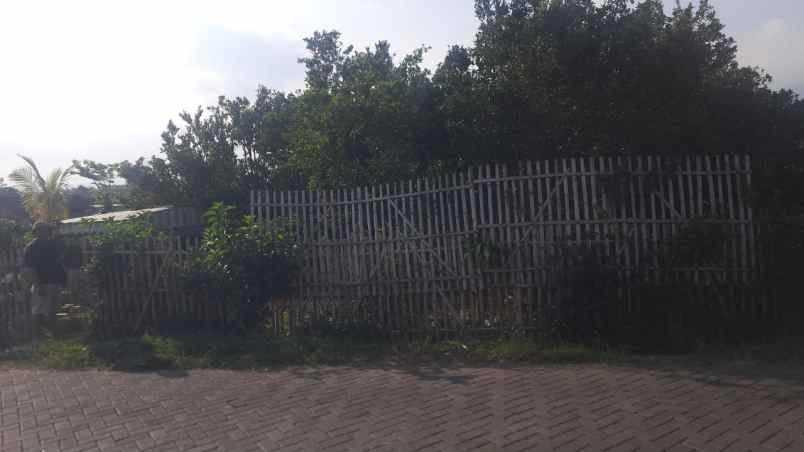 dijual tanah pandanrejo