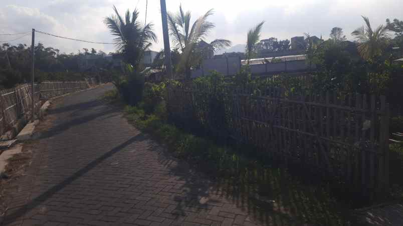 dijual tanah pandanrejo