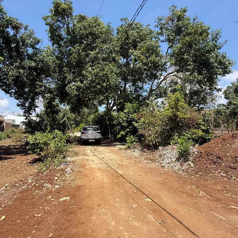 dijual tanah pantai balangan