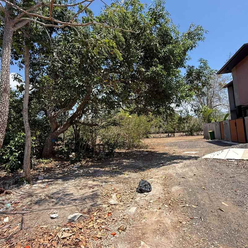 dijual tanah pantai balangan