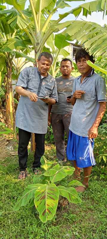 dijual tanah perumahan bumi citra lestari