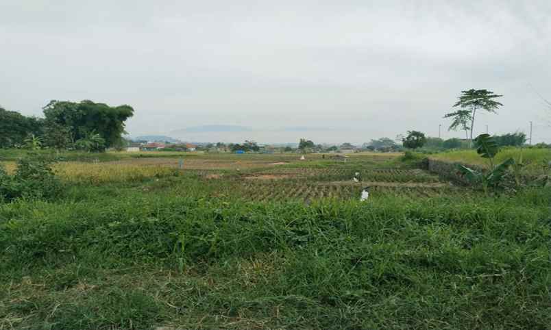 dijual tanah raya kopo soreang