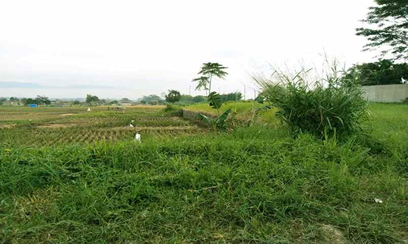 dijual tanah raya kopo soreang