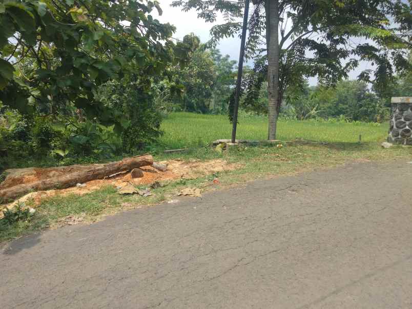 dijual tanah sawah panen tiga kali dalam setahun