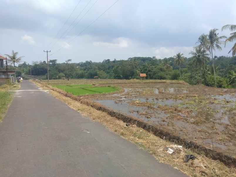 dijual tanah sawah pinggir jl desa di mandirancan