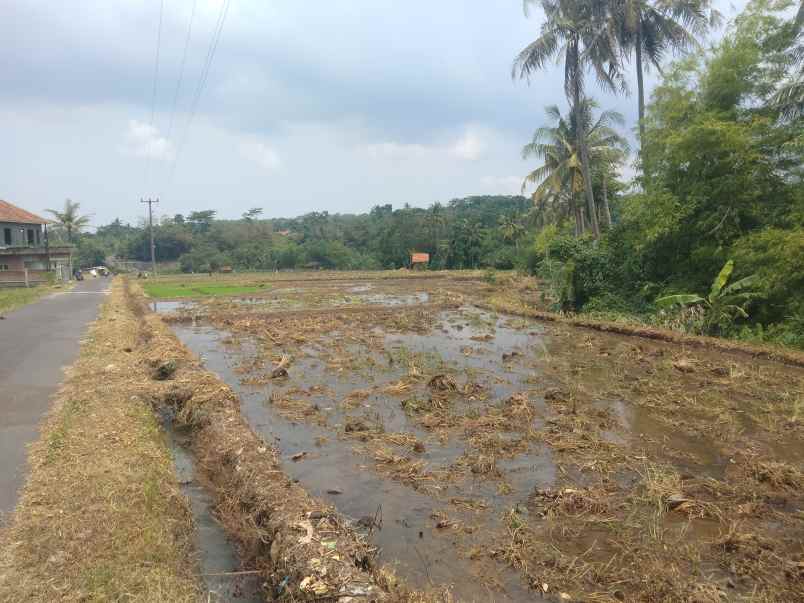 dijual tanah sawah pinggir jl desa di mandirancan