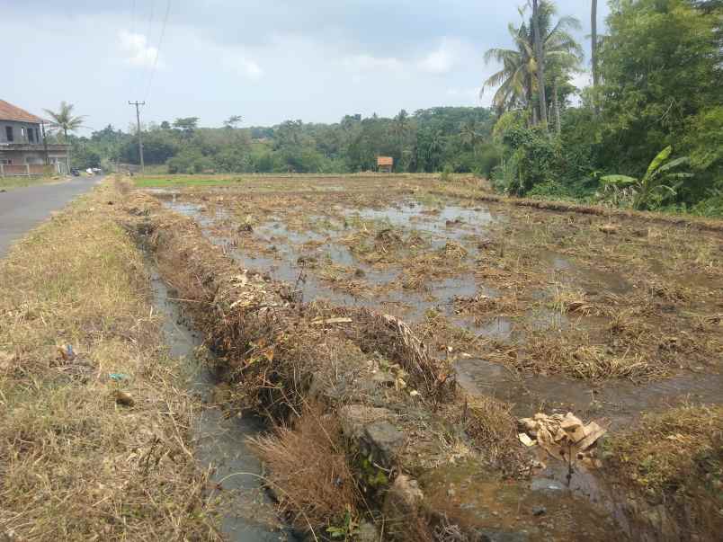 dijual tanah sawah pinggir jl desa di mandirancan